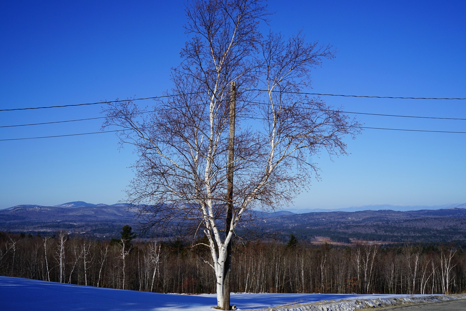 New Hampshire on Winter Solstice Anura Guruge Sony a7 II